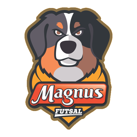 MagnusFutsal